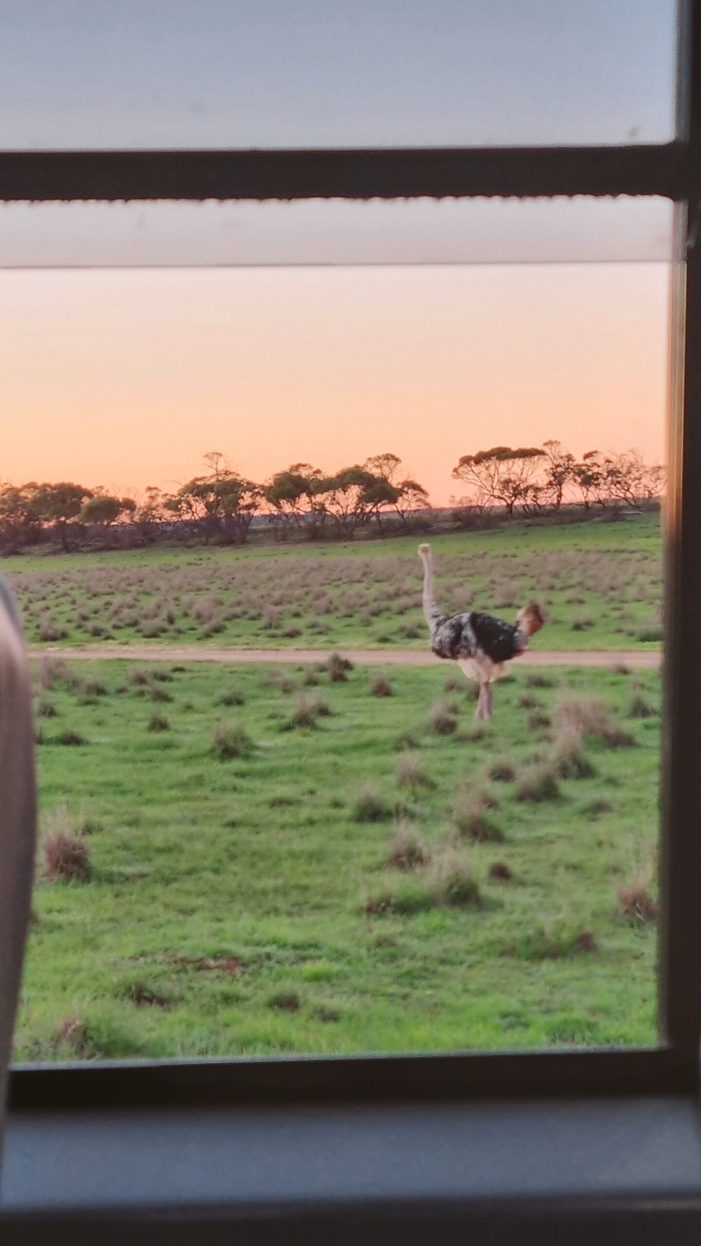 Monarto Safari Resort with Kids