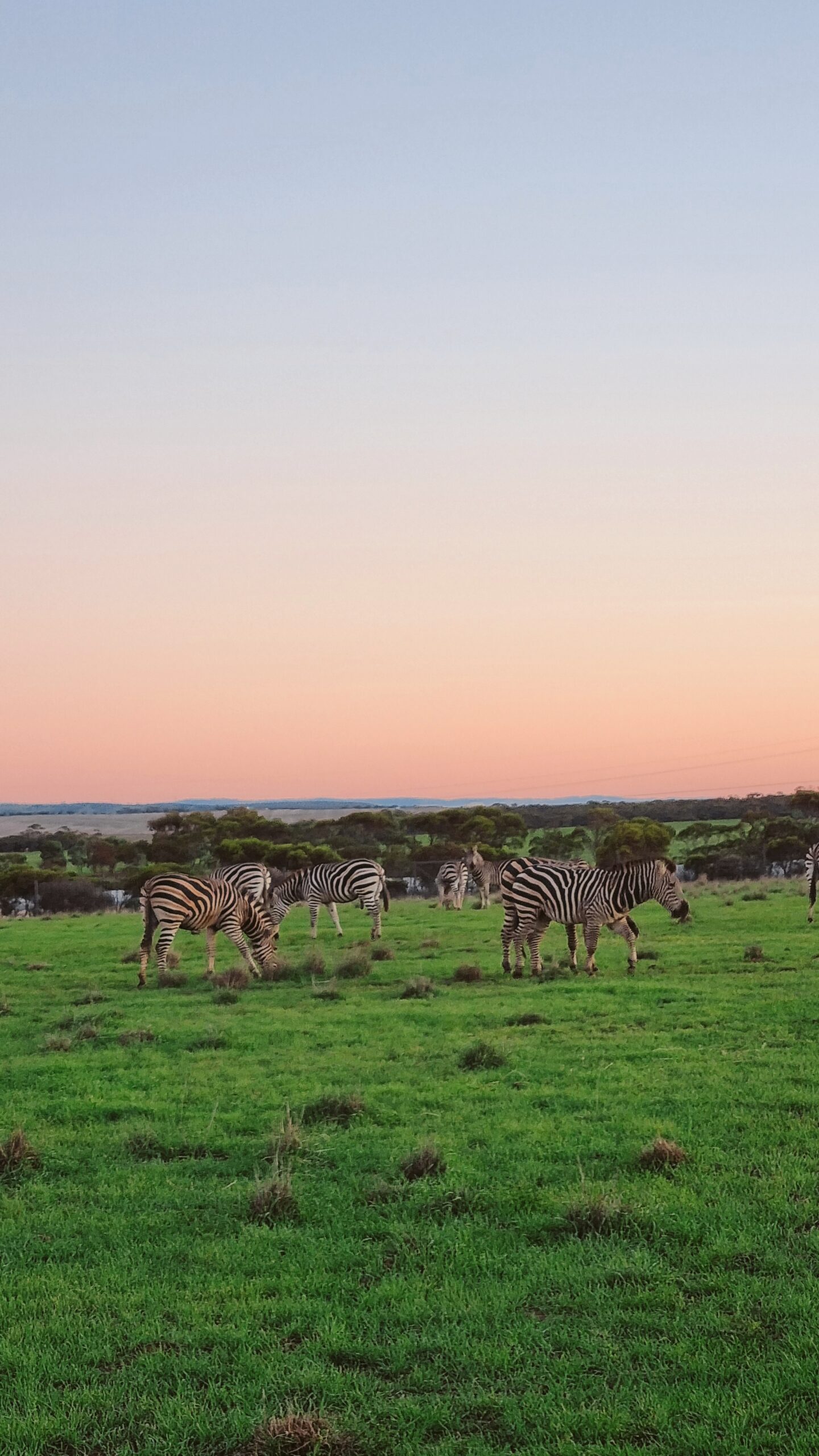 Monarto Safari Resort with Kids