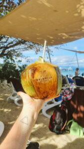 malamala beach club coconut