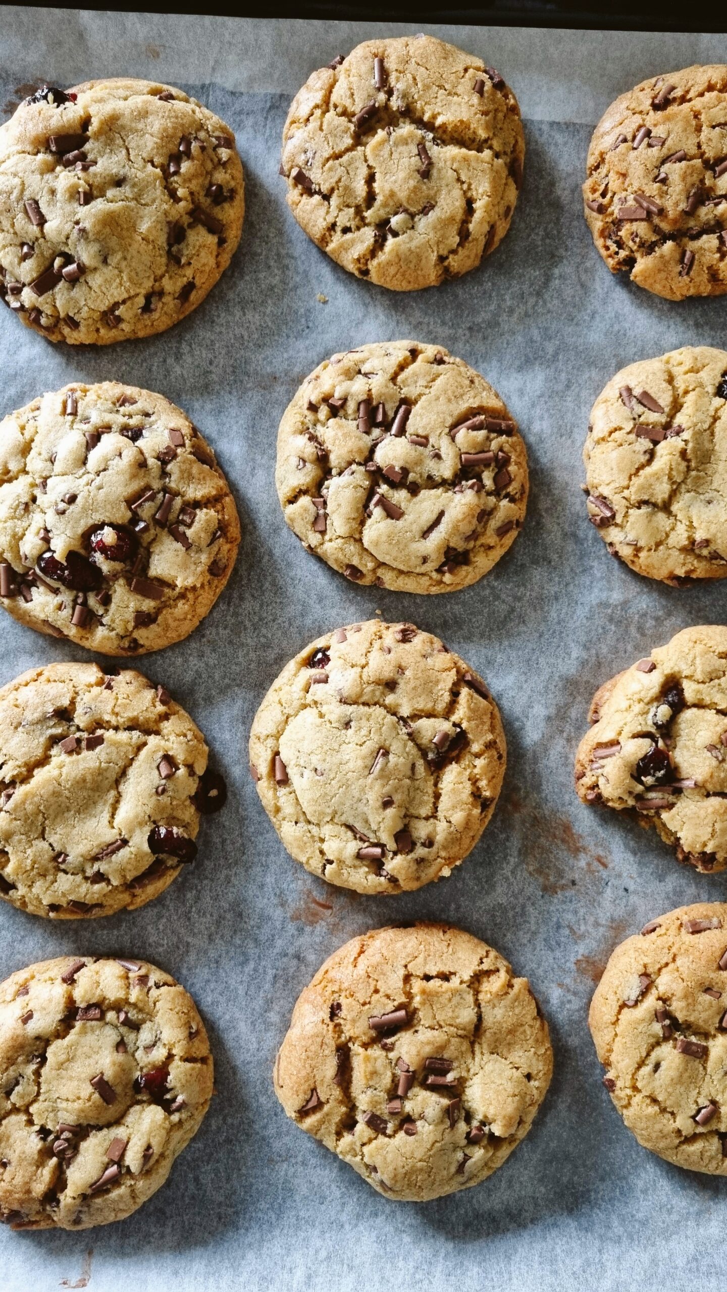 choc chip cranberry